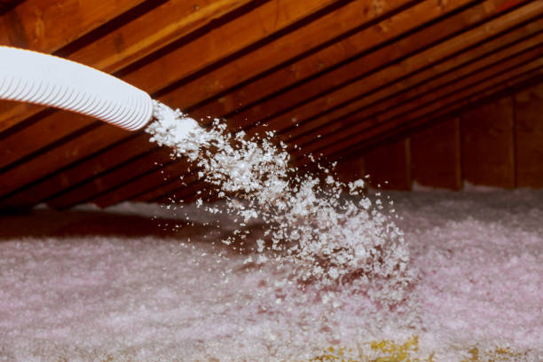 Best Energy Efficiency Insulation in Vienna Bend, LA