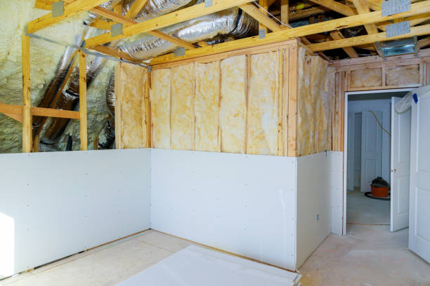 Best Eco-Friendly Insulation in Vienna Bend, LA