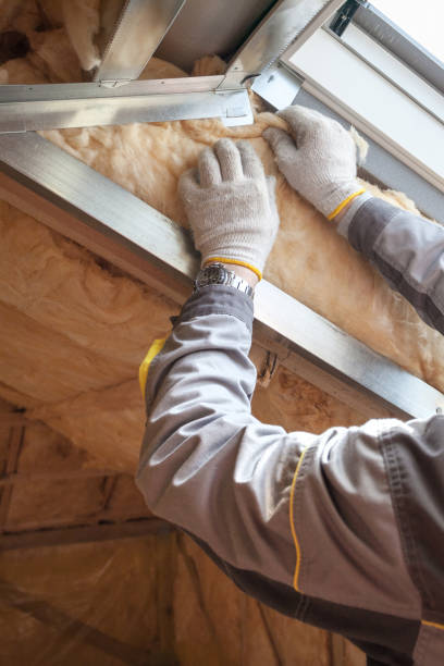 Best Eco-Friendly Insulation in Vienna Bend, LA