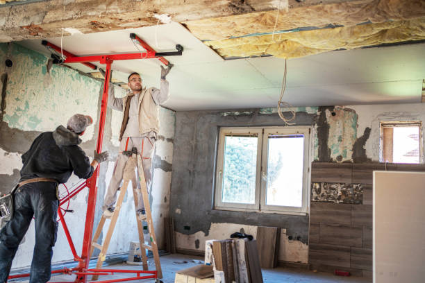 Best Spray Foam Insulation in Vienna Bend, LA