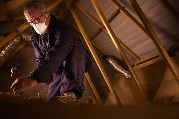 Best Insulation Maintenance and Repair in Vienna Bend, LA